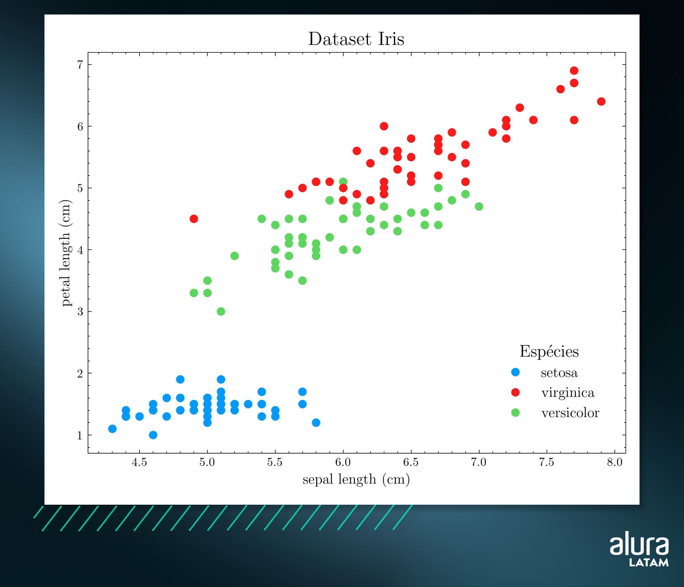 alt text: Gráfico de dispersión con el título "Conjunto de datos Iris". El gráfico contiene tres grupos, uno para cada especie de la planta iris: setosa, virginica y versicolor, representados en el gráfico y en la leyenda por los colores rojo, azul y verde, respectivamente. Los puntos rojos se concentran en la esquina superior derecha del gráfico, los puntos verdes en el centro y los puntos azules en la esquina inferior izquierda. Los límites del gráfico en el eje X, llamado "longitud del sépalo (cm)", van de 4 a 8.0, y los límites en el eje Y, llamado "longitud del pétalo (cm)", van de 1 a 7.