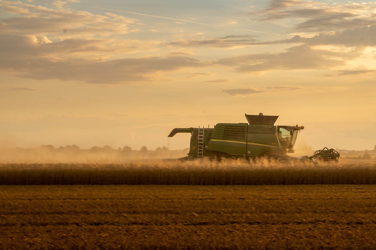 [Una cosechadora en el campo al atardecer]