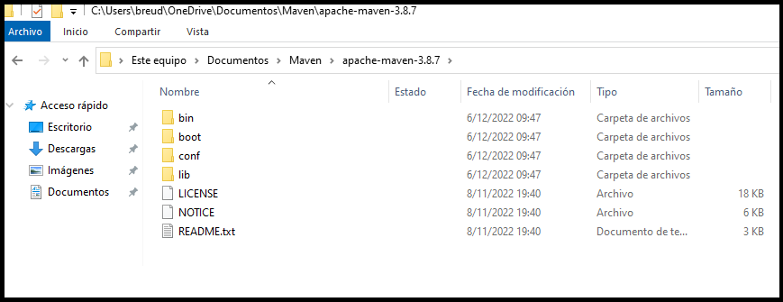 Lista de carpetas y archivos obtenidos al extraer el archivo zip o tar de Maven. Carpetas presentes: bin, boot, conf y lib. Archivos presentes: LICENSE, NOTICE y README.md.